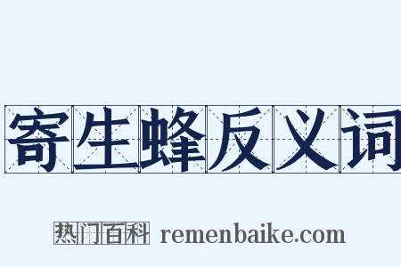 寄生蜂反义词是什么意思的图片